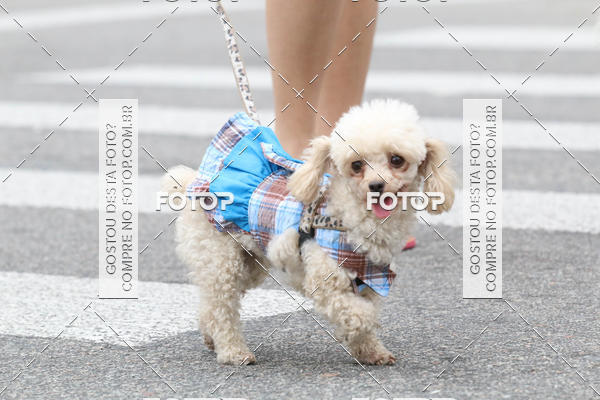 Buy your photos of the event13� C�ominhada - Santos on Fotop