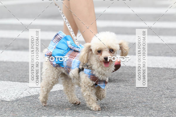 Buy your photos of the event13� C�ominhada - Santos on Fotop