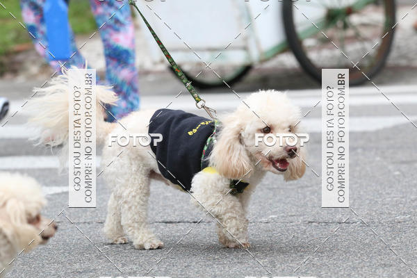 Buy your photos of the event13� C�ominhada - Santos on Fotop