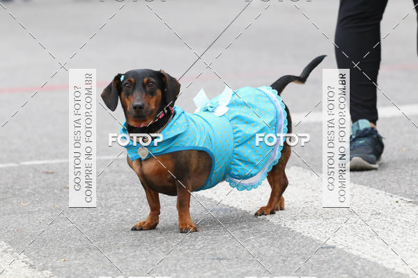 Buy your photos of the event13� C�ominhada - Santos on Fotop