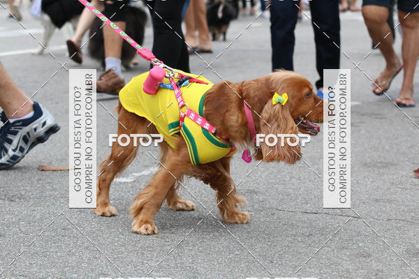 Buy your photos of the event13� C�ominhada - Santos on Fotop