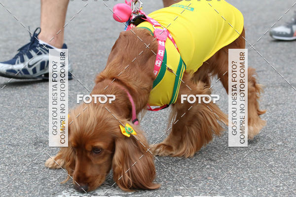 Buy your photos of the event13� C�ominhada - Santos on Fotop