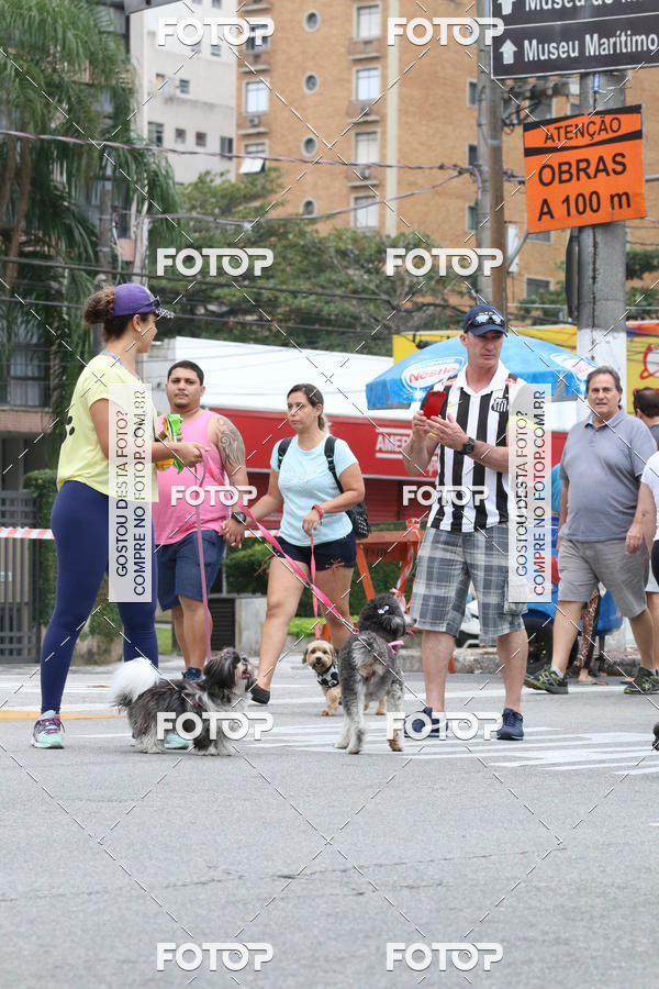 Buy your photos of the event13� C�ominhada - Santos on Fotop