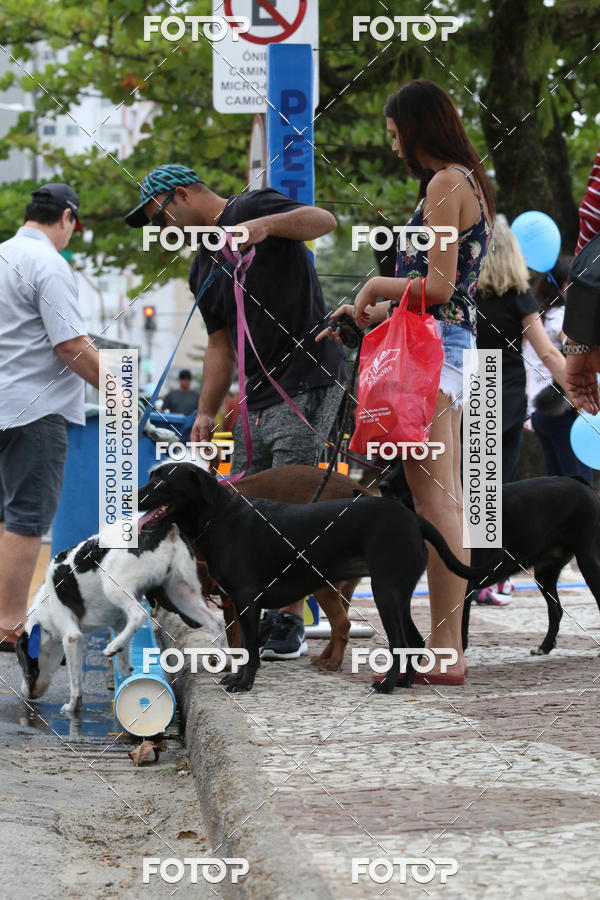 Buy your photos of the event13� C�ominhada - Santos on Fotop