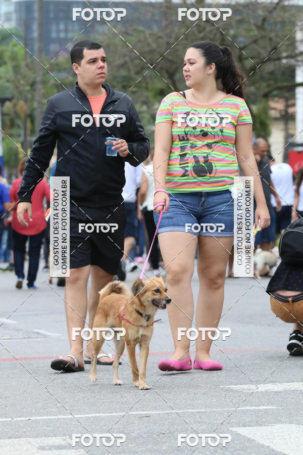 Buy your photos of the event13� C�ominhada - Santos on Fotop