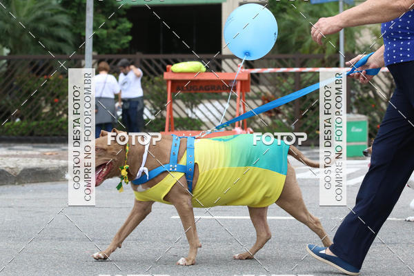 Buy your photos of the event13� C�ominhada - Santos on Fotop