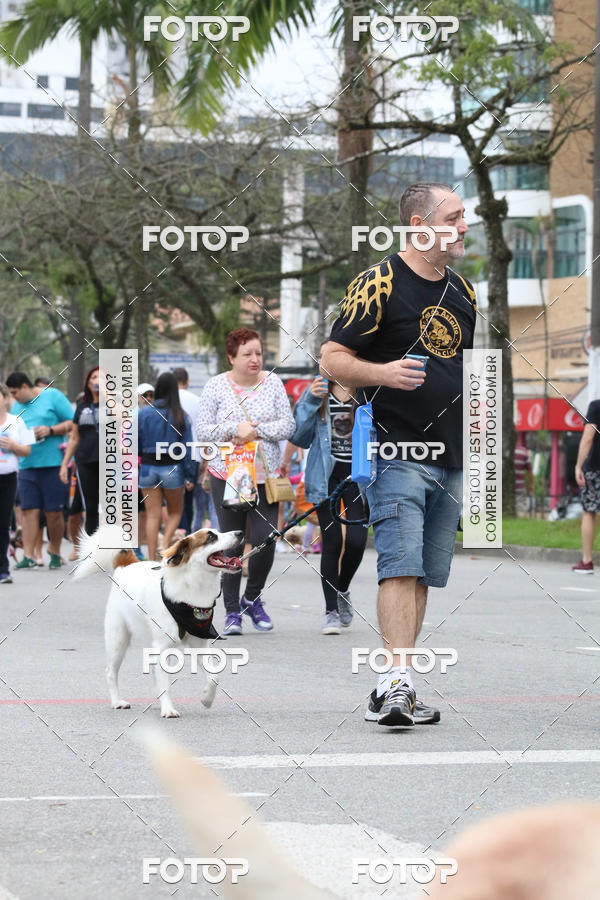 Buy your photos of the event13� C�ominhada - Santos on Fotop