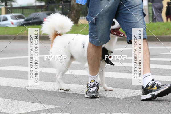 Buy your photos of the event13� C�ominhada - Santos on Fotop