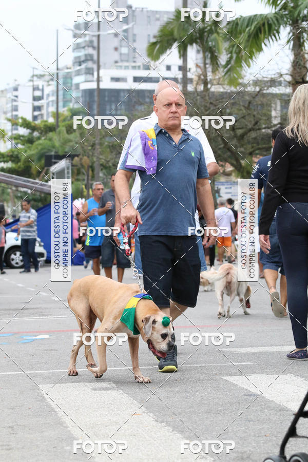 Buy your photos of the event13� C�ominhada - Santos on Fotop