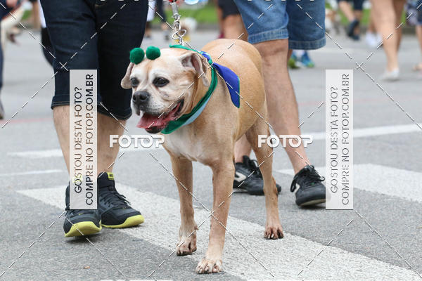 Buy your photos of the event13� C�ominhada - Santos on Fotop