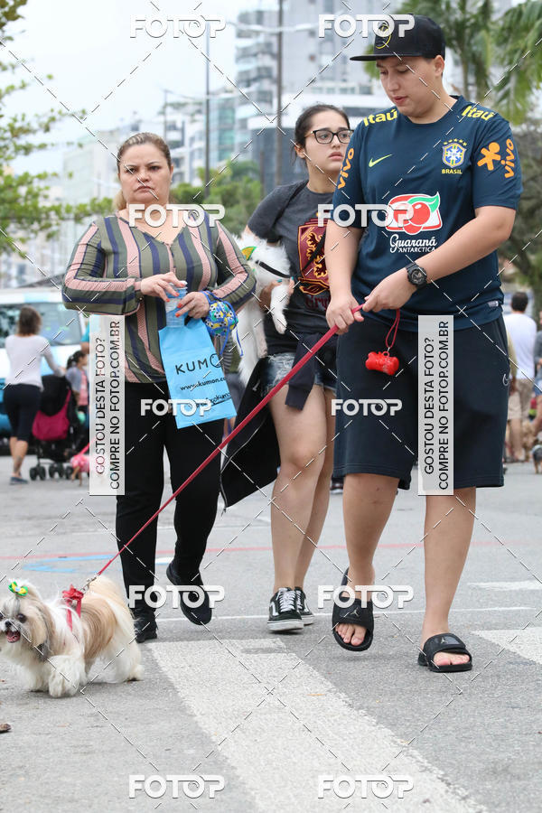 Buy your photos of the event13� C�ominhada - Santos on Fotop