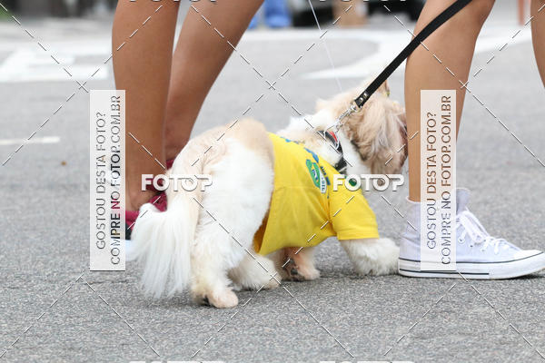 Buy your photos of the event13� C�ominhada - Santos on Fotop