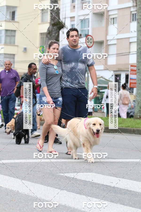 Buy your photos of the event13� C�ominhada - Santos on Fotop