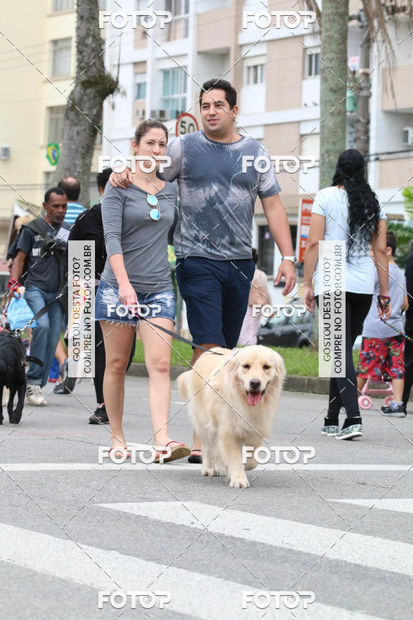 Buy your photos of the event13� C�ominhada - Santos on Fotop