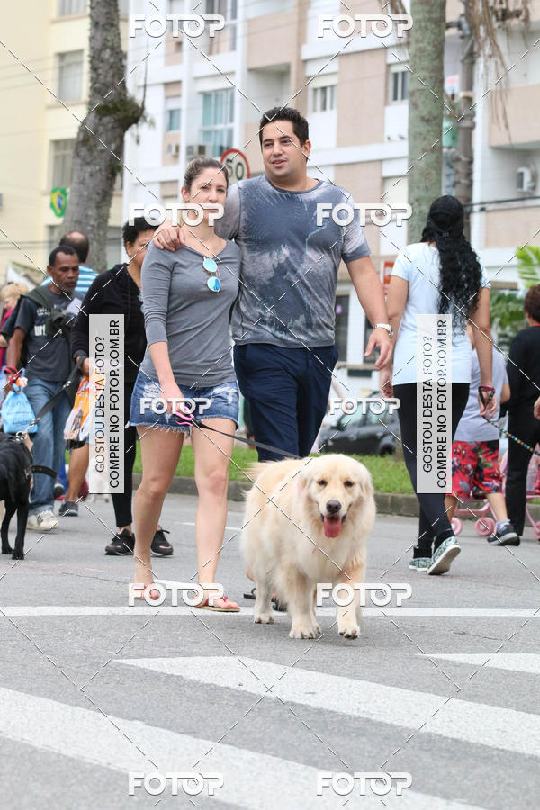 Buy your photos of the event13� C�ominhada - Santos on Fotop