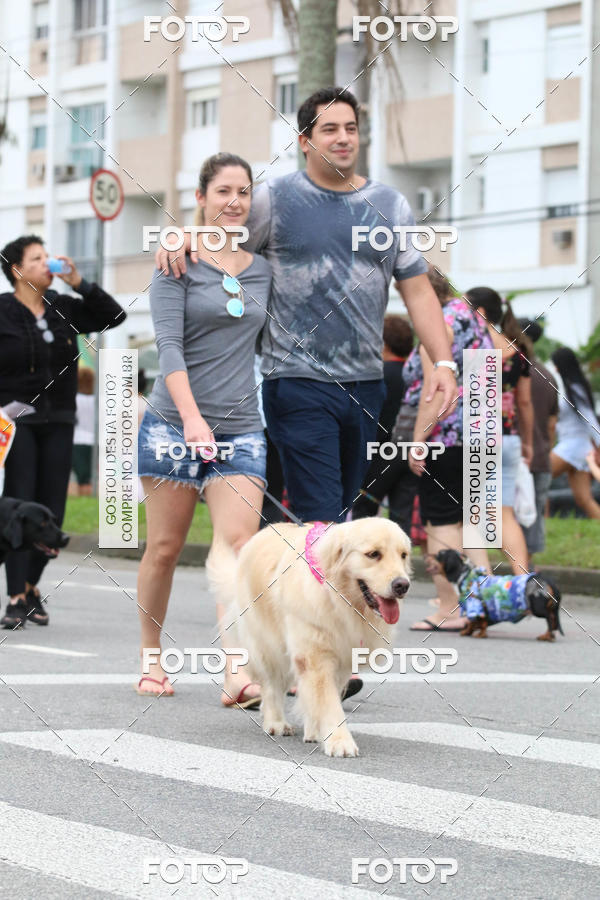 Buy your photos of the event13� C�ominhada - Santos on Fotop