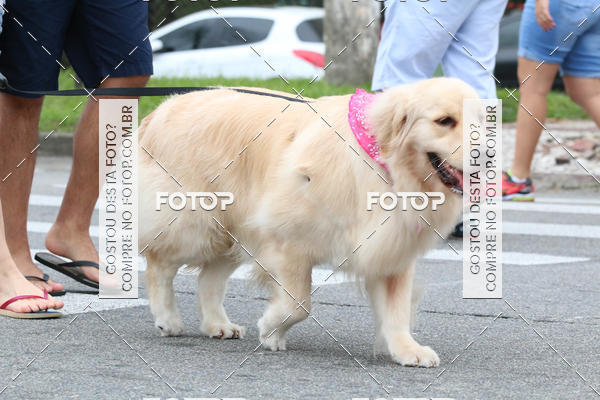 Buy your photos of the event13� C�ominhada - Santos on Fotop