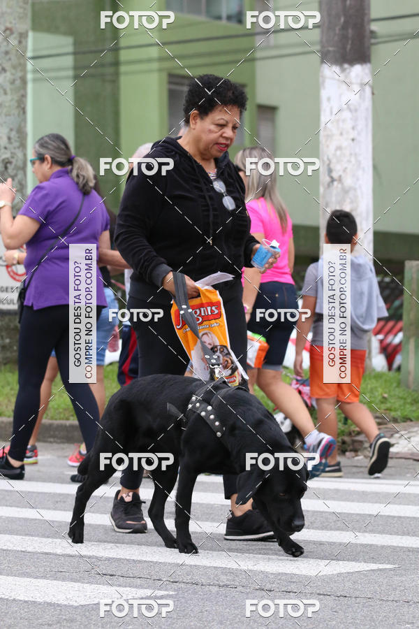 Buy your photos of the event13� C�ominhada - Santos on Fotop