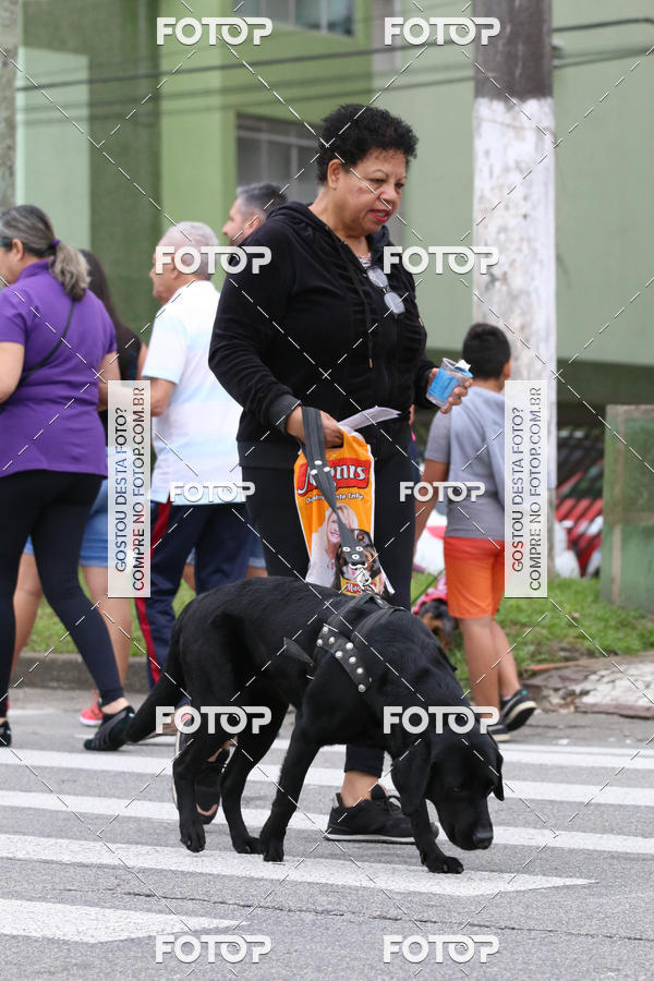 Buy your photos of the event13� C�ominhada - Santos on Fotop