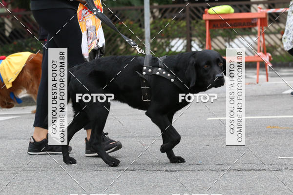 Buy your photos of the event13� C�ominhada - Santos on Fotop