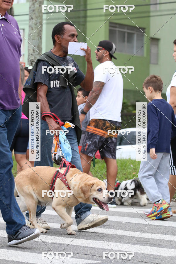 Buy your photos of the event13� C�ominhada - Santos on Fotop