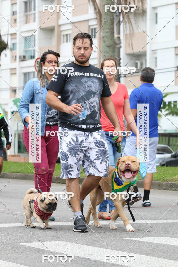 Buy your photos of the event13� C�ominhada - Santos on Fotop