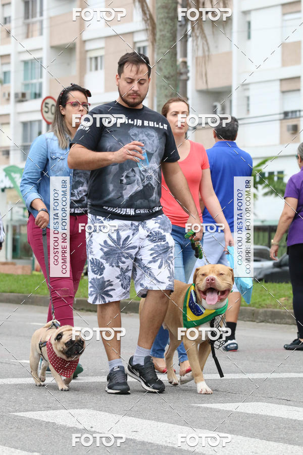 Buy your photos of the event13� C�ominhada - Santos on Fotop