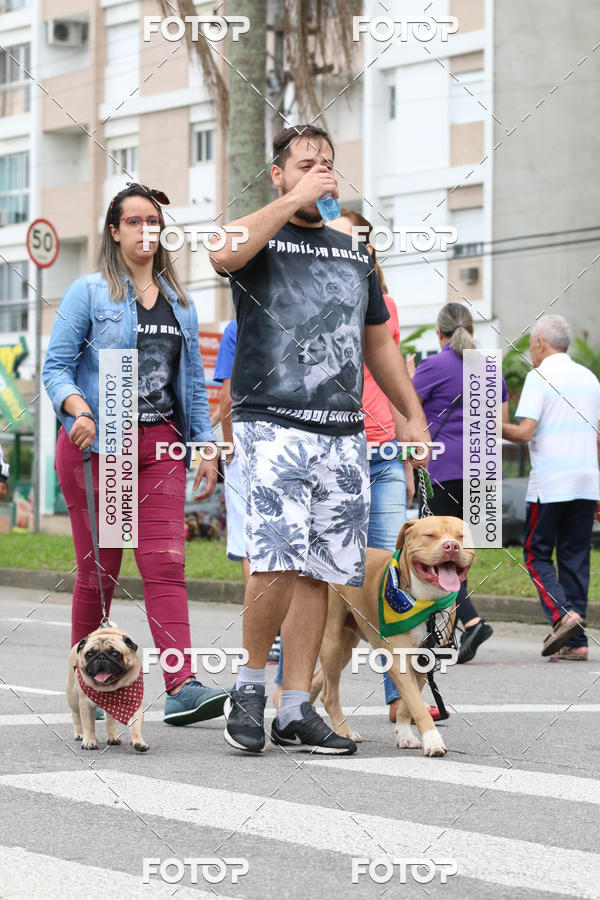 Buy your photos of the event13� C�ominhada - Santos on Fotop