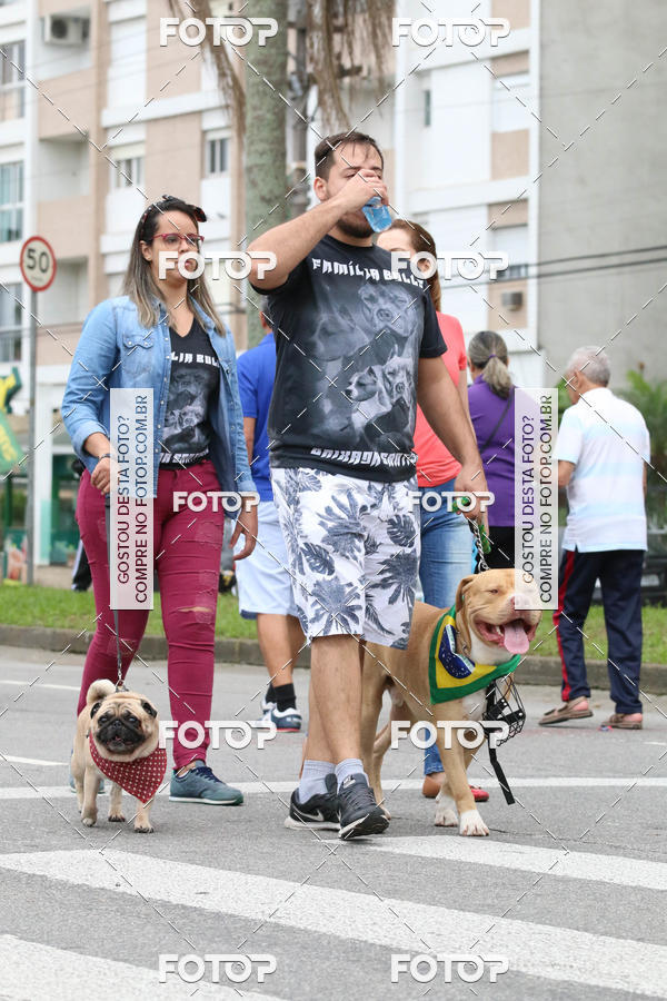 Buy your photos of the event13� C�ominhada - Santos on Fotop