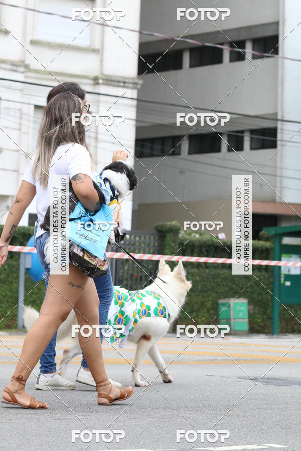 Buy your photos of the event13� C�ominhada - Santos on Fotop