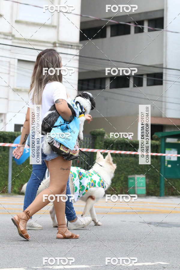 Buy your photos of the event13� C�ominhada - Santos on Fotop