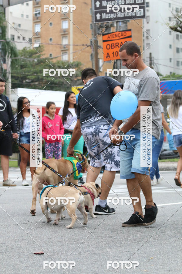 Buy your photos of the event13� C�ominhada - Santos on Fotop