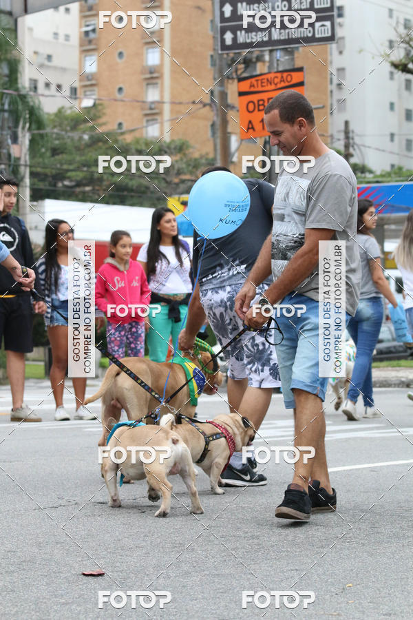 Buy your photos of the event13� C�ominhada - Santos on Fotop