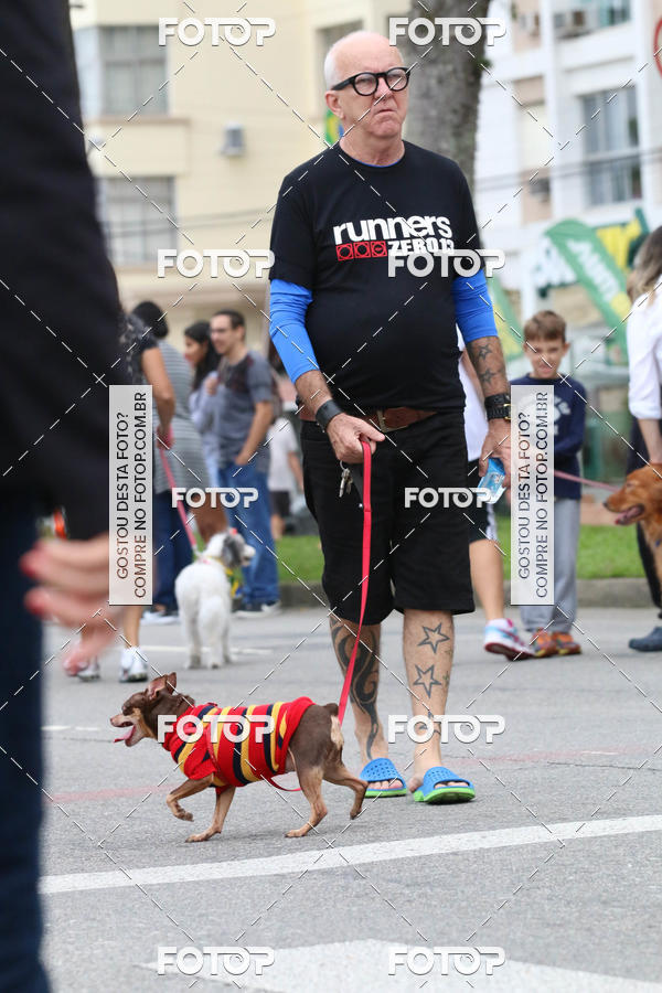 Buy your photos of the event13� C�ominhada - Santos on Fotop