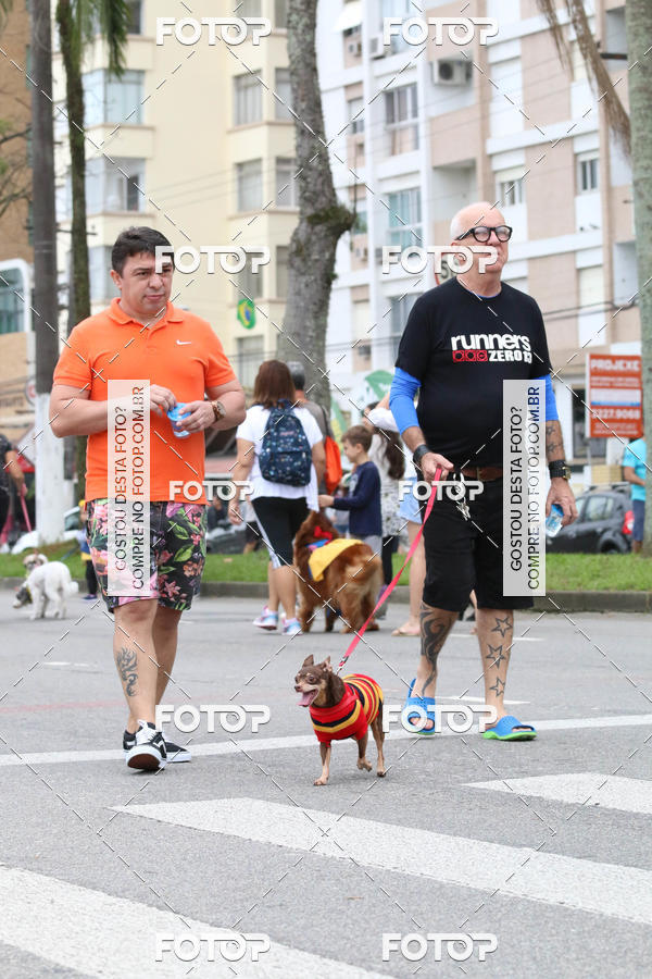 Buy your photos of the event13� C�ominhada - Santos on Fotop