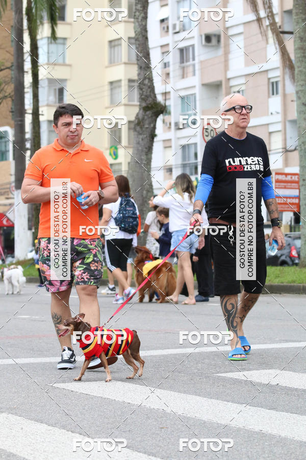 Buy your photos of the event13� C�ominhada - Santos on Fotop
