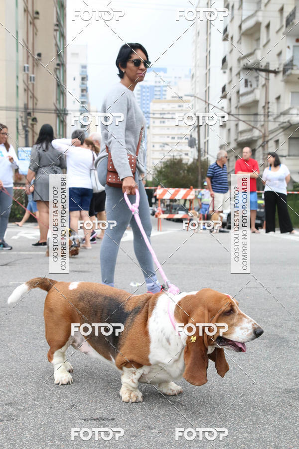 Buy your photos of the event13� C�ominhada - Santos on Fotop