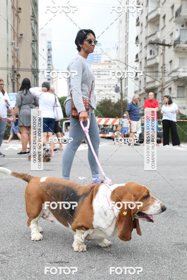 Buy your photos of the event13� C�ominhada - Santos on Fotop