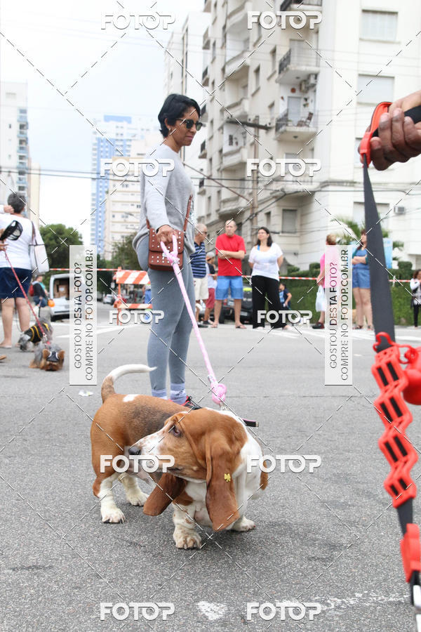 Buy your photos of the event13� C�ominhada - Santos on Fotop