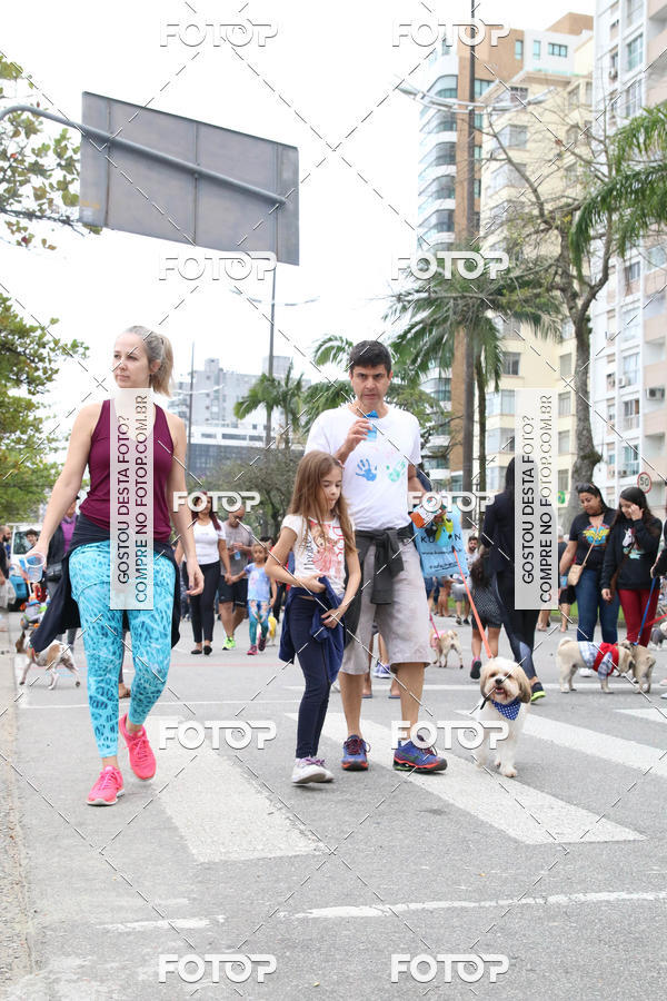 Buy your photos of the event13� C�ominhada - Santos on Fotop