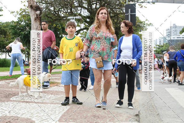 Buy your photos of the event13� C�ominhada - Santos on Fotop