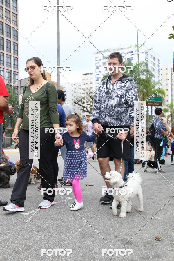 Buy your photos of the event13� C�ominhada - Santos on Fotop