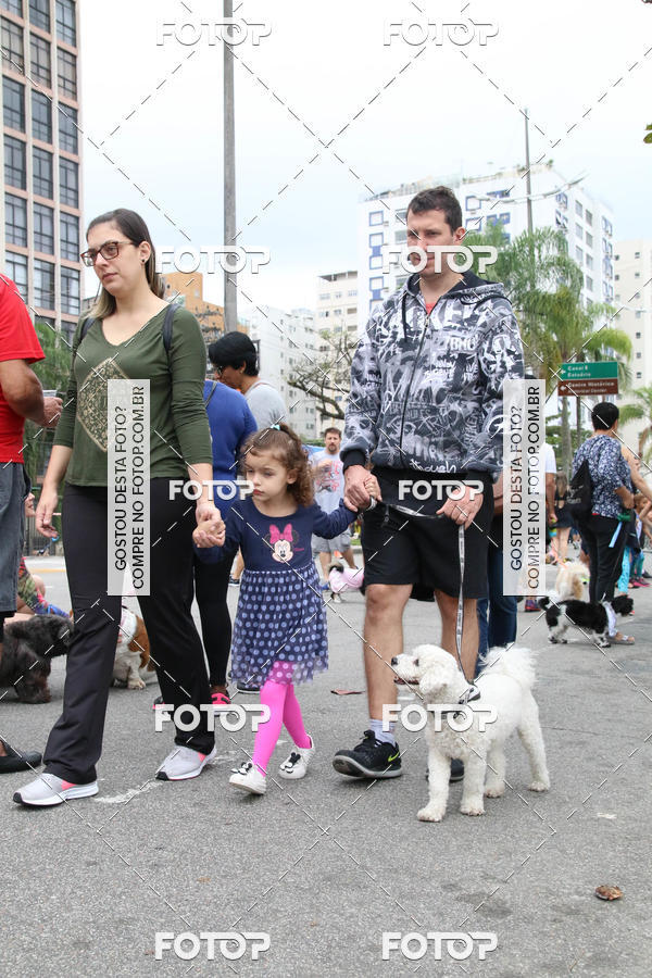 Buy your photos of the event13� C�ominhada - Santos on Fotop