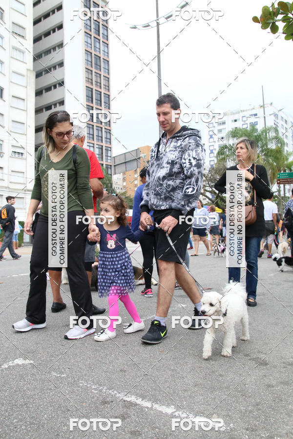 Buy your photos of the event13� C�ominhada - Santos on Fotop