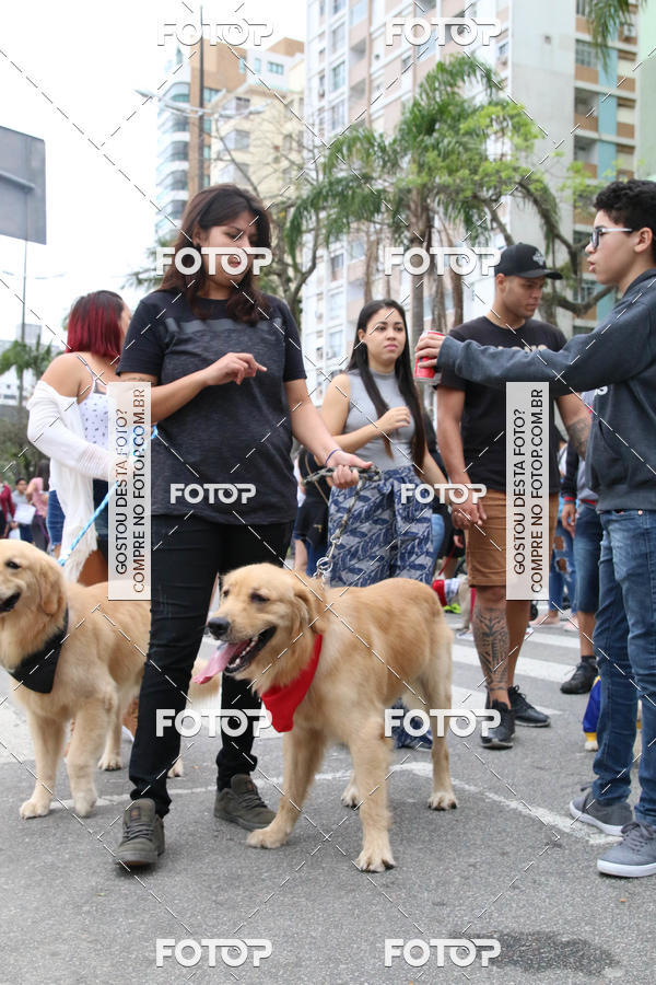 Buy your photos of the event13� C�ominhada - Santos on Fotop