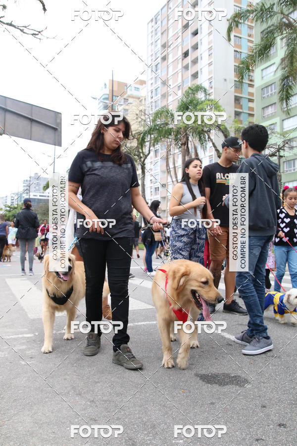 Buy your photos of the event13� C�ominhada - Santos on Fotop