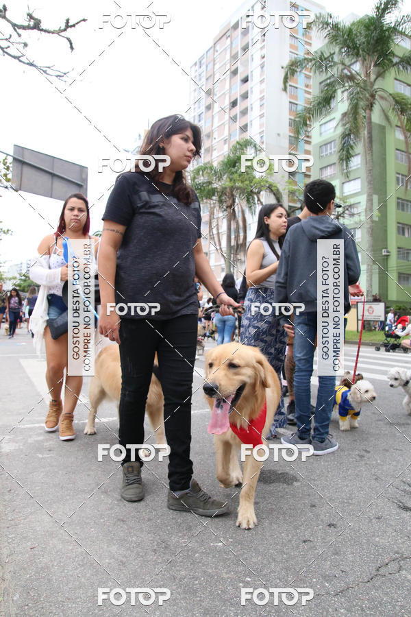 Buy your photos of the event13� C�ominhada - Santos on Fotop