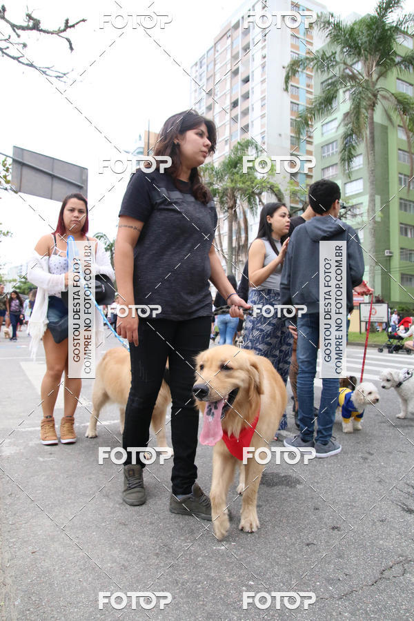 Buy your photos of the event13� C�ominhada - Santos on Fotop