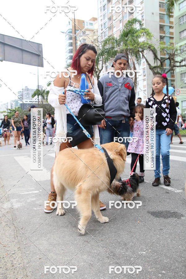 Buy your photos of the event13� C�ominhada - Santos on Fotop