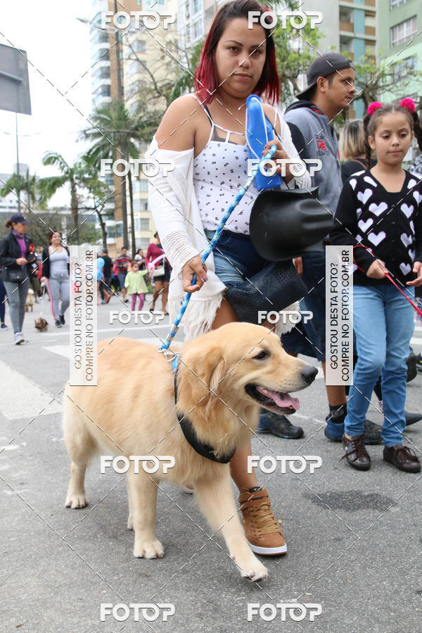 Buy your photos of the event13� C�ominhada - Santos on Fotop